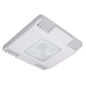 LED CANOPY LIGHT